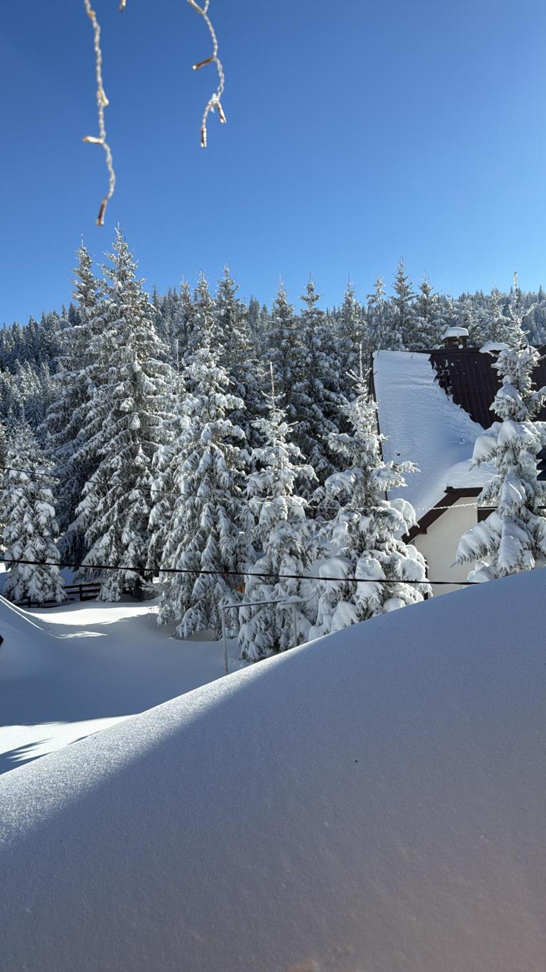 Guest House Alpha Ski Camp Jahorina Buitenkant foto